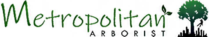 Metropolitan Arborist logo
